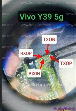 1754275418731.jpg