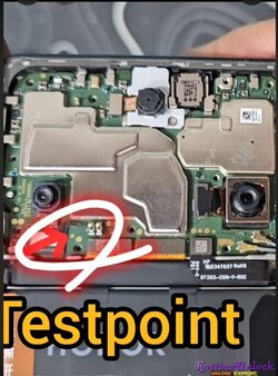 1755658903663.jpg