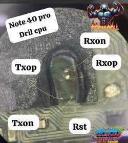 1755914426316.jpg