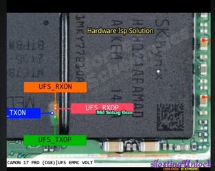 1759027842342.jpg