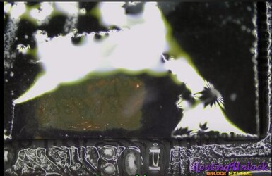 1759029186039.jpg