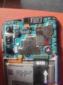 Imagen de WhatsApp 2025-10-16 a las 17.04.51_a76f5dfe.jpg