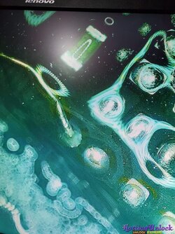 Imagen de WhatsApp 2025-10-13 a las 15.42.16_6ffa4859.jpg