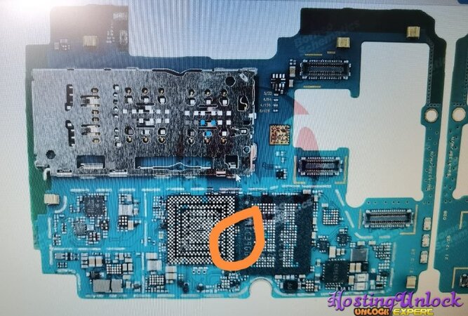 WhatsApp Image 2026-02-05 at 10.56.16.jpeg