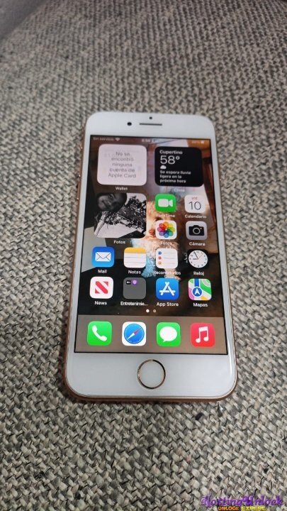 WhatsApp Image 2026-04-10 at 8.56.29 AM.jpeg