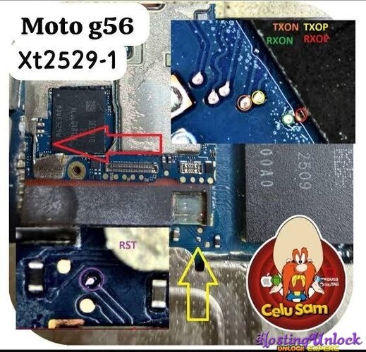 1776320469076.jpg