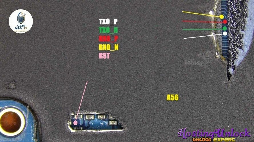 1776477466378.jpg