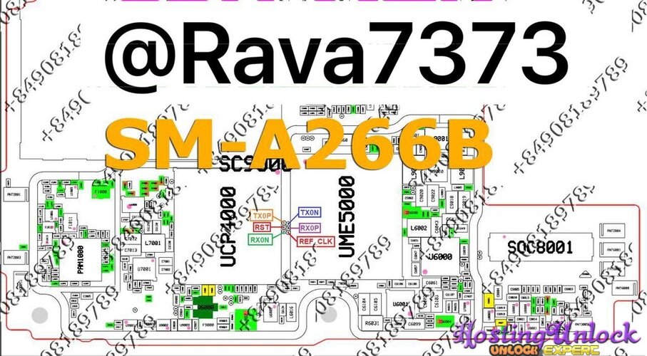 1777486994656.jpg