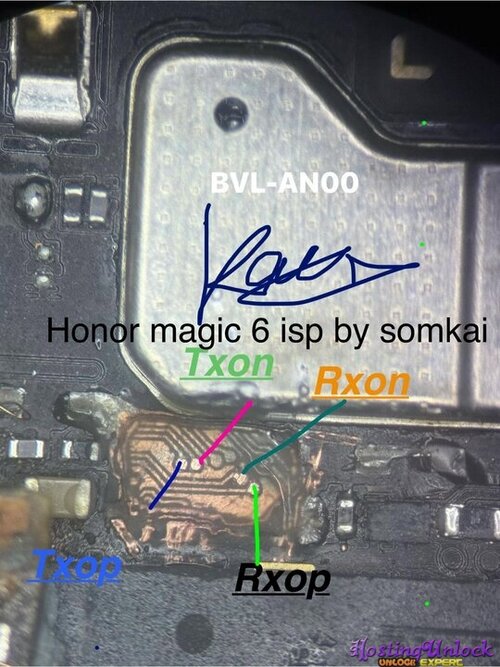 1781375755806.jpg