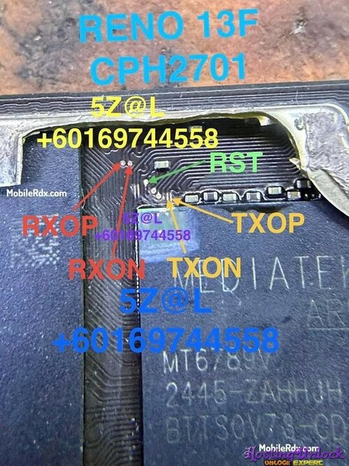 1783200619321.jpg