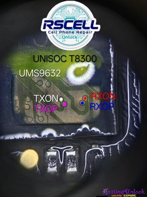 1783365952479.jpg