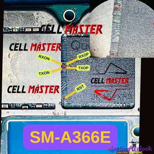 1786225910870.jpg
