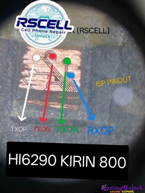 1787078862477.jpg