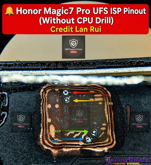1787146294535.jpg