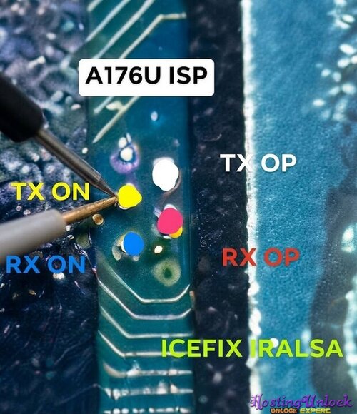 1788707020320.jpg
