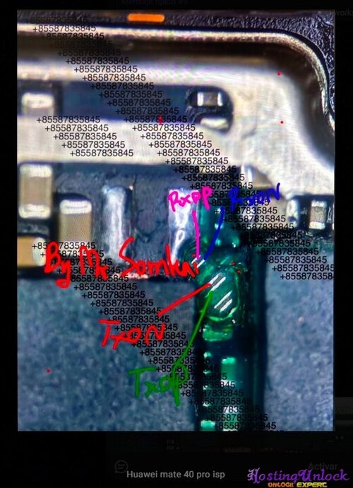 1791547432389.jpg