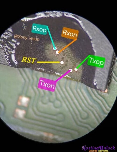 1791865515617.jpg